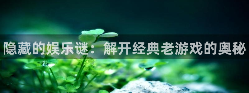 辉达官网首页登录入口